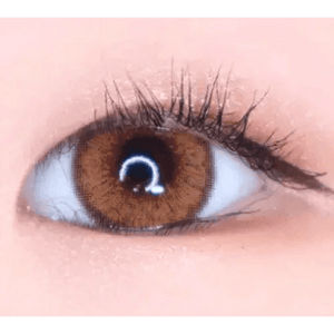 LensVery Venti Ann Brown - Idol Karakon