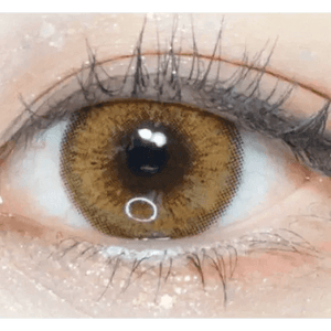 LensVery Venti Ann Brown - Idol Karakon