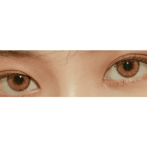 LensVery Venti Ann Brown - Idol Karakon