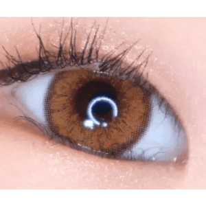 LensVery Venti Ann Brown - Idol Karakon