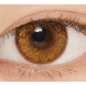 LensVery Venti Ann Brown - Idol Karakon