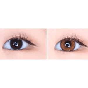 LensVery Venti Ann Brown - Idol Karakon