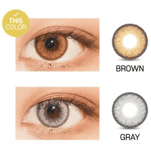 LensVery Venti Ann Brown - Idol Karakon