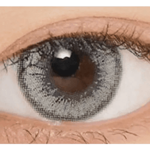 LensVery Venti Ann Gray - Idol Karakon