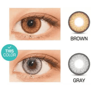 LensVery Venti Ann Gray - Idol Karakon