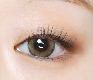 ワンダーアイ ブラウン — Wonder Eye Brown - Idol Karakon