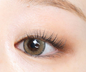 ワンダーアイ ブラウン — Wonder Eye Brown - Idol Karakon