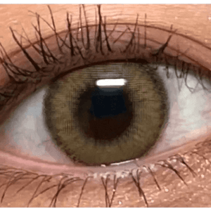 LensVery Wonder Eye Circle Brown - Idol Karakon