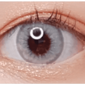 LensVery Wonder Eye Deep Gray - Idol Karakon