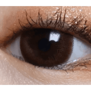 LensTown Lighly Classic Brown (20p) - Idol Karakon