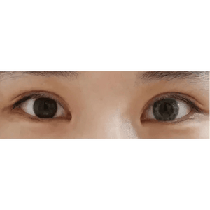 LensTown Lighly Fantasy Gray (20p) - Idol Karakon