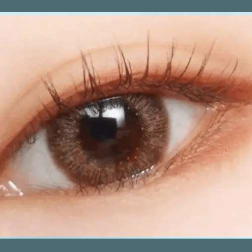 LensTown Lighly Lily Marry Brown (20p) - Idol Karakon