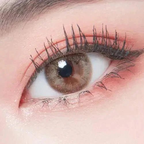 LensTown Lighly Lily Marry Brown (20p) - Idol Karakon