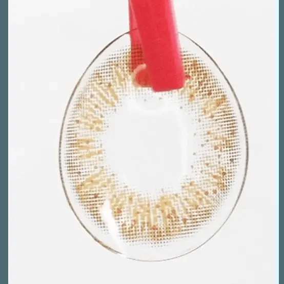 LensTown Lighly Lily Marry Brown (20p) - Idol Karakon