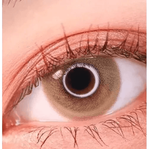 LensTown Lighly Mellow Brown (20p) - Idol Karakon