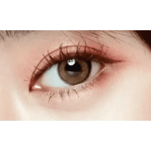 LensTown Lighly Rose Beige (30p) - Idol Karakon