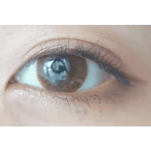 LensTown Llghly Classic Light Brown (20p) - Idol Karakon