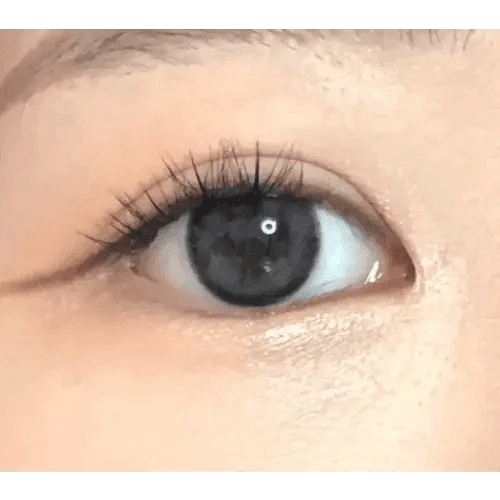 LensVery Mauve Deep Gray - Idol Karakon