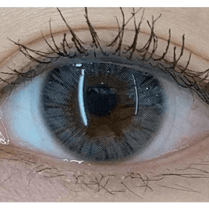 Olens Maybe Gray - Idol Karakon