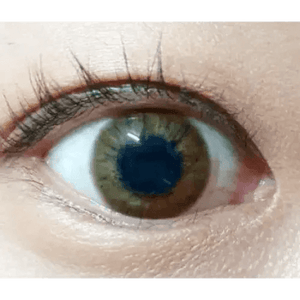 Olens Marry Me Honey Brown - Idol Karakon