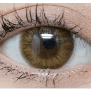 Olens Marry Me Orange Brown - Idol Karakon