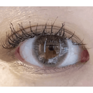 Olens Modernique 3 Color Brown - Idol Karakon