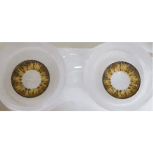 Olens Newtra Brown - Idol Karakon