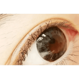 Olens Newtra Gray - Idol Karakon