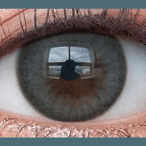 Olens Nils Gray - Idol Karakon