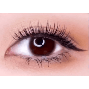 LensTown Nudy Coco Brown - Idol Karakon