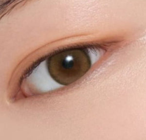 バランス ブラウン トーリック(乱視用) Balance Brown Toric - Idol Karakon