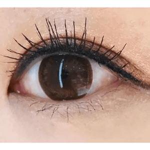 BS21 ブラウン トーリック(乱視用) BS 21 Brown Toric - Idol Karakon