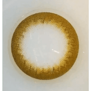 BS21 ブラウン トーリック(乱視用) BS 21 Brown Toric - Idol Karakon