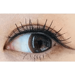 BS21 グレー トーリック(乱視用) BS 21 Gray Toric - Idol Karakon