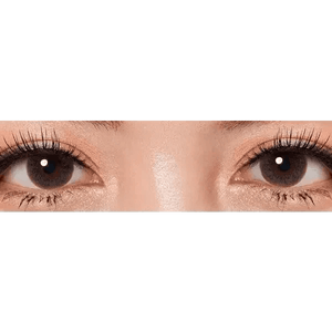 BS21 グレー トーリック(乱視用) BS 21 Gray Toric - Idol Karakon