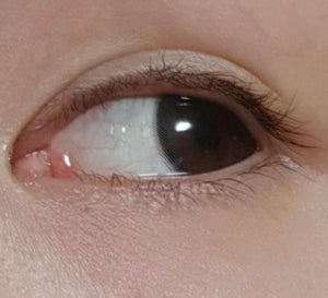 シャガール ブラック Chagall Black - Idol Karakon