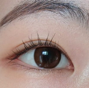 クラシー アートリング ブラウン Classi Artring Brown - Idol Karakon