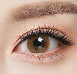 Olens Classi Water Brown - Idol Karakon