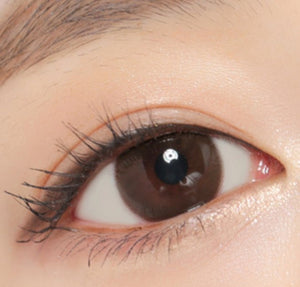 ダリ2 ブラウン Dali2 Brown - Idol Karakon