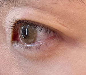 ディア ブラウン Dear Brown - Idol Karakon