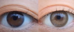 ディア ブラウン Dear Brown - Idol Karakon