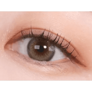 Olens Scandi 1Day Gray (20p) - Idol Karakon