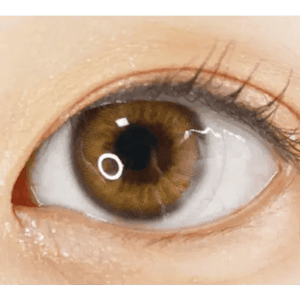 Olens Scandi Hazel - Idol Karakon