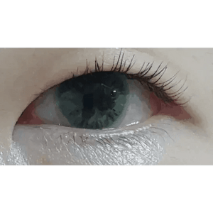 Olens Seolem 3 Color Green - Idol Karakon