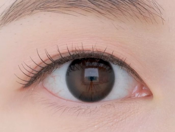 Olens Shine Black 1Day (20p) - Idol Karakon