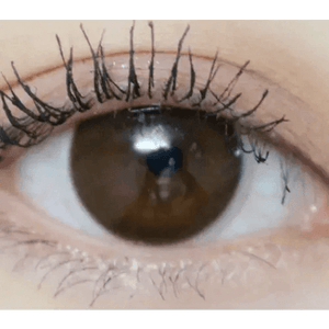 Olens Someday Gray - Idol Karakon