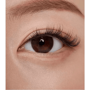 Olens Someday Gray - Idol Karakon