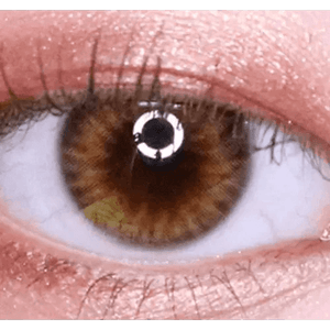 Olens Spanish Real Brown - Idol Karakon