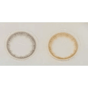 Olens Spring Rain Gray - Idol Karakon