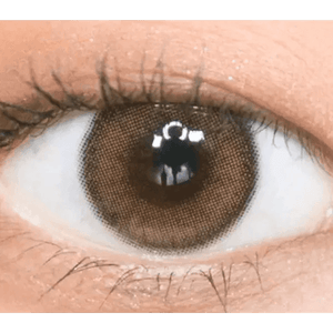 Olens ViVi Ring 1Day Brown (20p) - Idol Karakon